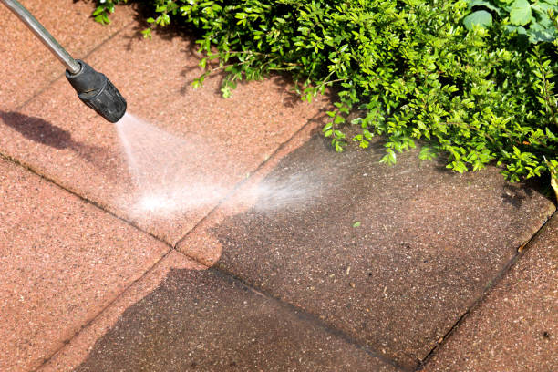 Best Residential Pressure Washing in North Ridgeville, OH